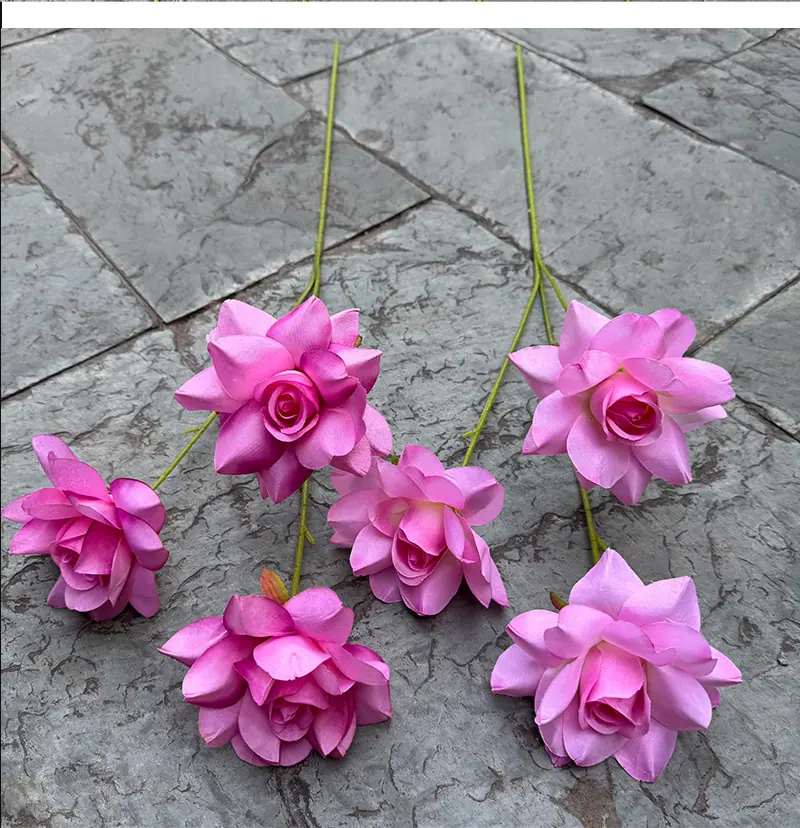 3头莱菲情人玫-详情_10.jpg