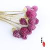 Flor Seca rojo mil días ramo de flores secas fruta fresa regalo de San Valentín accesorios de decoración para el hogar producción
