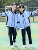 Uniformes para Alunos do Ensino Fundamental II e Ensino Médio, Conjuntos de Manga Longa, Moletons Estilo Universitário, Uniformes para Reunião Esportiva de Outono de Alunos do Ensino Fundamental, Conjunto de Duas Peças