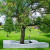 Macizo de flores de hormigón visto grc de forma especial fabricado en fábrica, piscina de flores, taburete para piscina de cemento para parques, centros comerciales interiores y exteriores