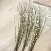 Estilo Escandinavo Lujo Accesible Hojas de Sauce Plateadas Largas Frutos de Sauce Nieve Decoración Suave para el Hogar Hotel Adornos Flores Artificiales Flores Artificiales