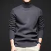 Tejidos de punto de alta gama para primavera y otoño para hombre 2025 Nuevos tejidos de punto cálidos con cuello alto casual, suaves y amigables con la piel, forrados de felpa para hombre