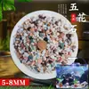 Arena de fondo para acuario, piedras decorativas, juego completo de piedras florales de lluvia ecológicas naturales, piedras luminosas y piedras en bruto