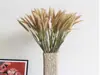 Grama Gema Seca, Capim Rabo de Coelho, Espiga de Trigo de Cor Natural, Capim Rabo de Cachorro, Flores Secas ao Ar para Decoração de Casa, Arranjo de Flores, Flores DIY
