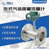 Medidor de Flujo Másico de Gas Térmico Zhuoran Tian Gong con Medición Múltiple Nitrógeno Tipo Brida de Tubería Enchufable Caudal Grande