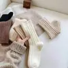 Meias Grossas de Chão Outono e Inverno Meias Quentes Meias Femininas de Listras de Comprimento Médio Meias Versáteis de Inverno Cor Maillard Meia-Calça