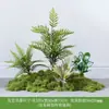 Musgo para Paisajismo de Plantas Verdes Plantas Artificiales Decoración Flores Artificiales Combinación Tropical para Interiores Paisaje de Ventana Persa Arreglo de Césped