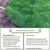 Sementes de Grama Verde para Todas as Estações, Grama Dente de Cachorro, Grama de Centeio, Trevo Branco, Festuca Alta, Grama Bermuda Anã, Sementes de Grama Manila