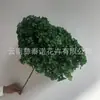 Flor Preservada Haste Única Hortênsia Anna Anna Folha Pequena Bella 40 Cores Personalizado Atacado Presente Dia dos Professores