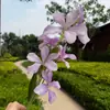 [Orquídea de Fuego] Decoración de Boda, Arreglo Floral de Mesa para Sala de Estar, Pared de Flores, Accesorios para Fotografía, Flores Artificiales al por Mayor