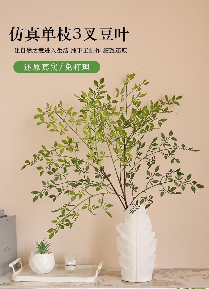 单枝3叉豆叶_01.jpg