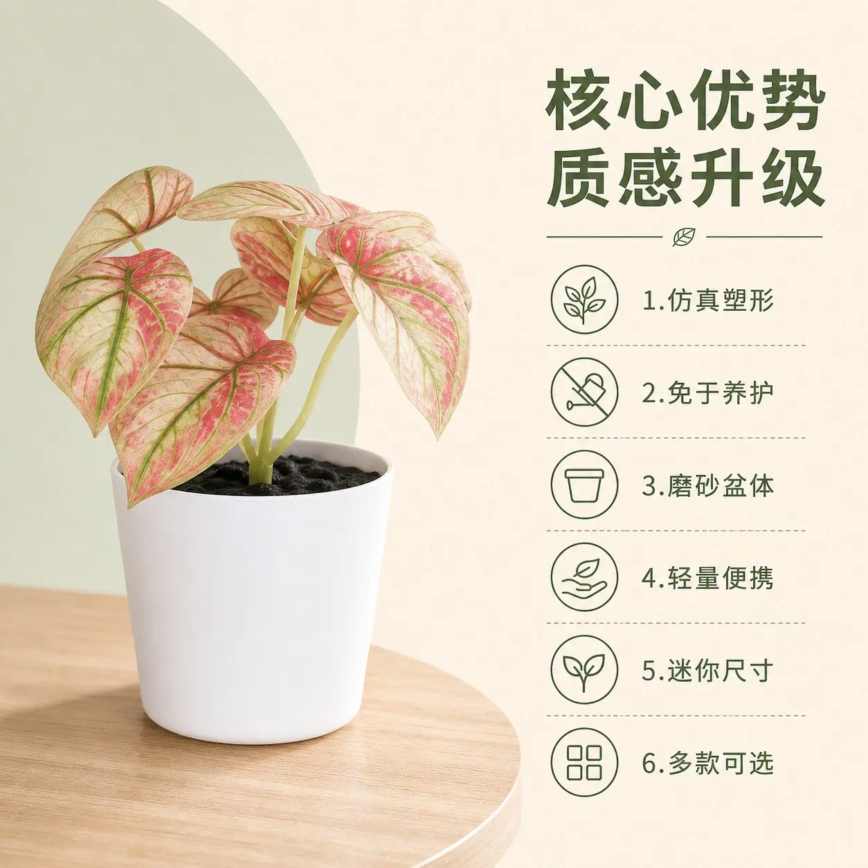 1203塑料详情页 (3).jpg