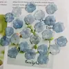 Estéreo Simulado Gradiente de Dos Colores Hoja de Loto Hoja Acrílica DIY Pendientes Hechos a Mano Material para Tocado Venta al por Mayor