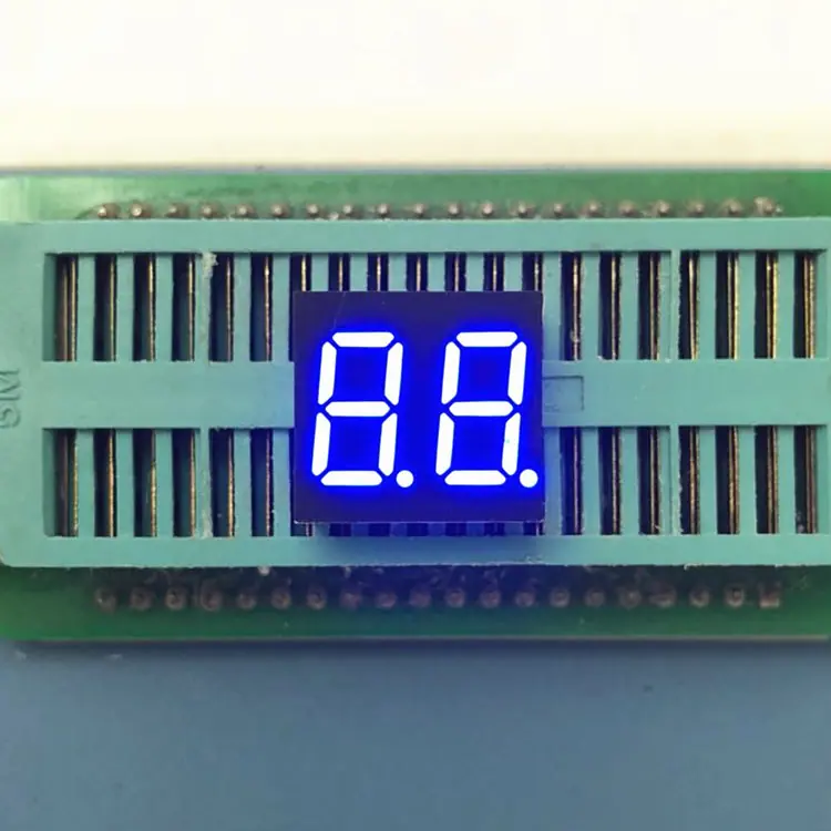 3621 兰-1.jpg