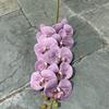 Falsa Falenopsis de Alta Calidad Exportación Blanca Morada 9 Cabezas Tacto Arcoíris Falenopsis Boda Hotel Flor Al Por Mayor
