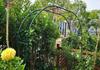 Suporte de Flores em Arco Suporte de Trepadeira Suporte para Rosas Chinesas de Jardim Clematis Suporte para Plantas de Rosas Verdes Porta de Flores Externa Decoração de Jardim