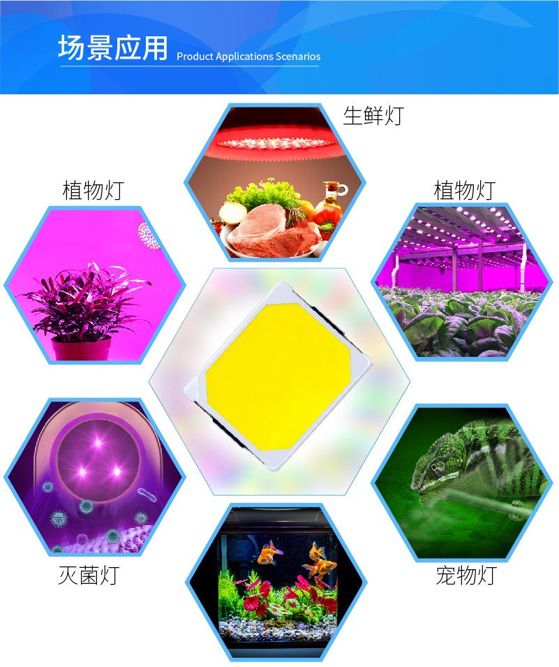 模板2-04