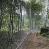 Rede de Proteção Ativa contra Deslizamentos, Âncora de Montanha Anti-Queda de Pedras, Malha de Diamante Galvanizada, Capaz para Construção, Equipe de Instalação Profissional