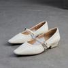 Zapatos de Salón Individuales Plisados de Mujer Estilo Francés Nuevo Otoño 2025, Mary Jane Estilo Chanel, Versátiles de Moda Casual Estilo Chino Nuevo