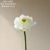 Flores de Loto y Hojas Flores Artificiales Fabricante Flores Falsas Plantas Verdes Decoración de Bodas Manualidades Estilo Ins Venta al por Mayor Transfronteriza
