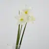 Flores de Narciso Artificiales, Flores Falsas de Plumeria Amarilla, Accesorios para Fotografía, Arreglos Florales de Boda, Decoraciones para Jarrones