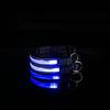 Nuevo collar luminoso solar LED collar intermitente recargable por USB cuerda para el cuello luminosa para Teddy suministros para mascotas