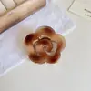 Pinza de Tiburón para Cabello Semi-Recogido en la Parte Posterior de la Cabeza, Nuevo Pinza para Cabello de Nube, Volumen Pequeño de Cabello, Adorno para la Cabeza de Pinza de Cola de Caballo de Gama Alta