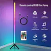 Lámpara de Pie Inteligente Bluetooth Ins Simple Inteligente Led Sala de Estar Dormitorio Lámpara de Noche Lámpara de Mesa Vertical de Esquina Lámpara de Ambiente
