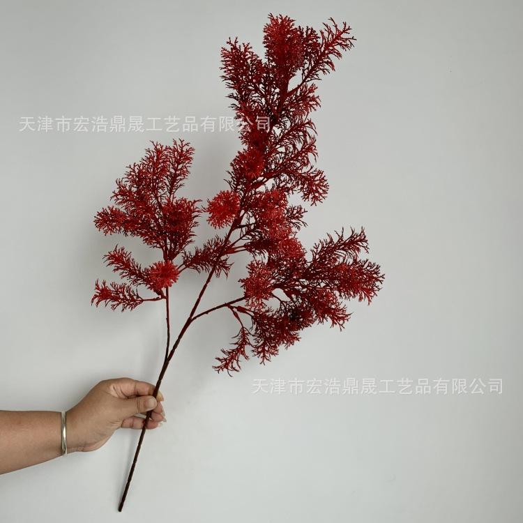 微信图片_20230904085322_副本