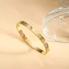 El Tesoro de la Tienda, Pulsera Popular Transfronteriza de Acero de Titanio, Colección Estilo Europeo y Americano, Lujo Ligero, Versátil y a la Moda, Precio de Fábrica, Dropshipping