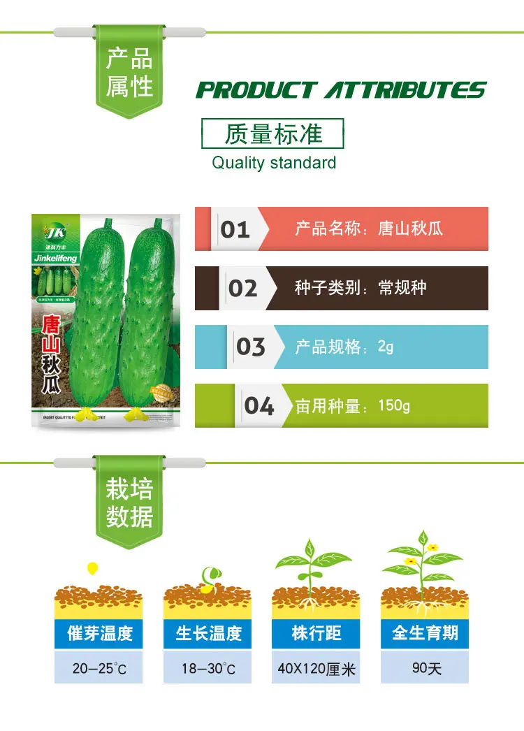 唐山秋瓜