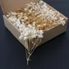 Flores Secas Gipsófila Flor Eterna Materiales Set DIY Regalos para Fiestas Decoraciones de Navidad Suministros para Bodas Accesorios Colorido