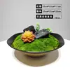 Musgo Preservado Plantas Verdes Adornos Florales de Arreglo Escritorio Mesa de Café Mesa de Comedor de Hotel Sala de Muestras Maceta de Bonsái Decoración de Textiles Suaves