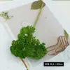 Fruta de Arroz de Simulación 3 Cabezas Pegamento Suave Rama de Fruta Bayas Verdes Adorno de Arreglo Floral Materiales de Arreglo Floral para Hotel Homestay Ingeniería