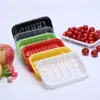 Bandejas Descartáveis Kanglida para Alimentos, Frutas e Verduras Frescas, Embalagem Transparente Colorida de Grau Alimentício