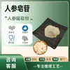 Ginsenoside 80% Solúvel em Água, Ginsenosídeos Totais, Extrato de Caule e Folha de Ginseng, Pó de Ginseng, em Estoque com Frete Grátis