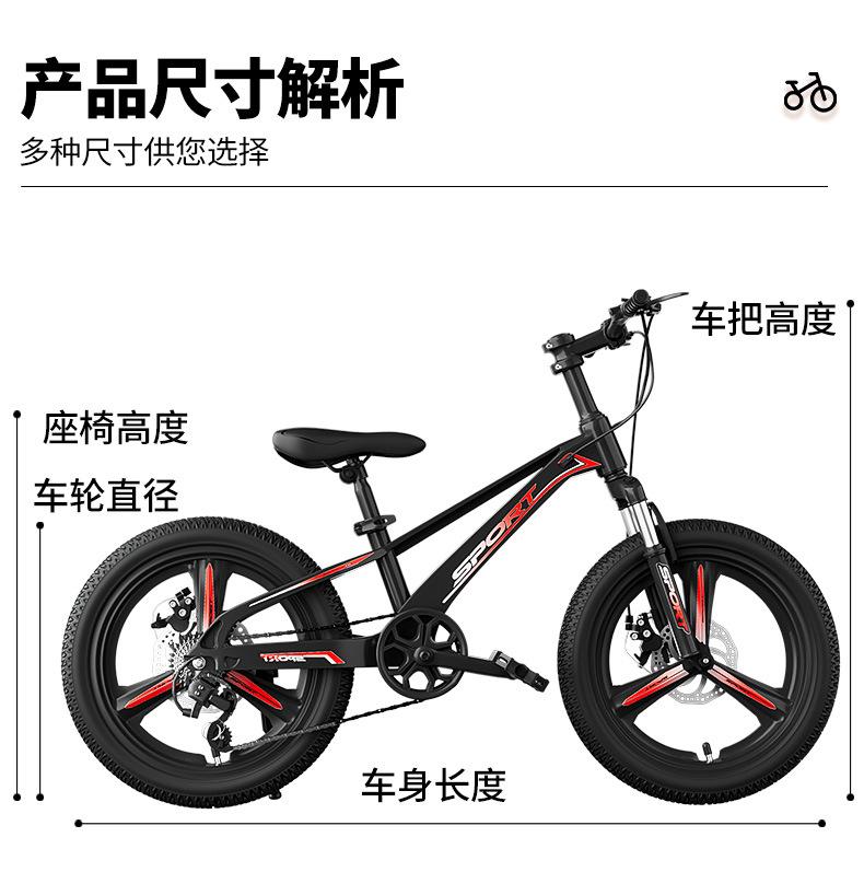 未标题-将_02.jpg