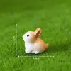 Jardinería con Musgo Micro Paisaje Creativo Rana Linda Animales Miniatura Decoración DIY Accesorios Mini Adornos Pequeños
