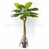 Simulación de comercio exterior taro verde simulación taro de hadas bonsái planta de simulación Guanyin goteante adornos decorativos en maceta venta al por mayor