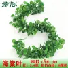 Simulação folha de videira folha de árvore folha verde planta verde plástico tubo de água enrolado flor artificial Videira Videira decoração de teto