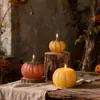 Festival de la Cosecha Nueva Transfronterizo Vela de Calabaza Molde de Silicona Halloween DIY Ornamento de Yeso para Aromaterapia Molde para Pastel