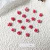6mm creme flor camélia unha arte jóias cor misturada camélia unha arte diamante rosa unha arte decoração