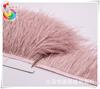 Suministros del Fabricante Recorte de Plumas de Avestruz, Recorte para Ropa de Plumas Importado de Sudáfrica, A partir de 00710m Piezas, Recorte Ancho de Encaje