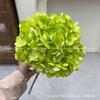 Plantas Verdes Artificiais para Casamento, Grama Aspargo Verde Estilo Floresta, Flores Artificiais Verdes, Materiais Florais Artificiais para Casamento, Série de Decoração para Salão de Casamento