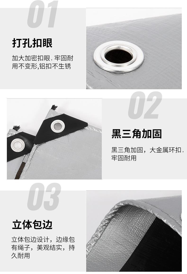 银黑2_10.jpg