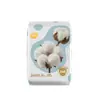 Zhi Hu Quan Mian Absorventes Higiênicos de Algodão 240mm Uso Diurno 8 Peças Pacote Individual Absorvente para Menstruação Seco Absorção Instantânea Camada Superior 100% Algodão Absorvente Higiênico
