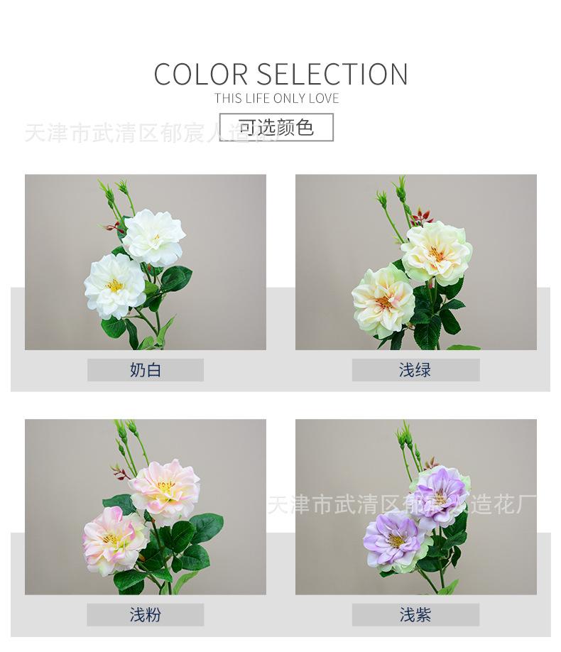 详情_02.jpg
