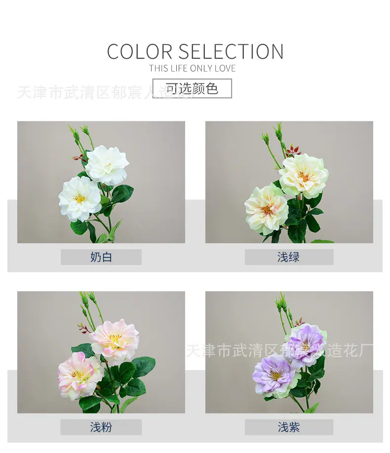 详情_02.jpg