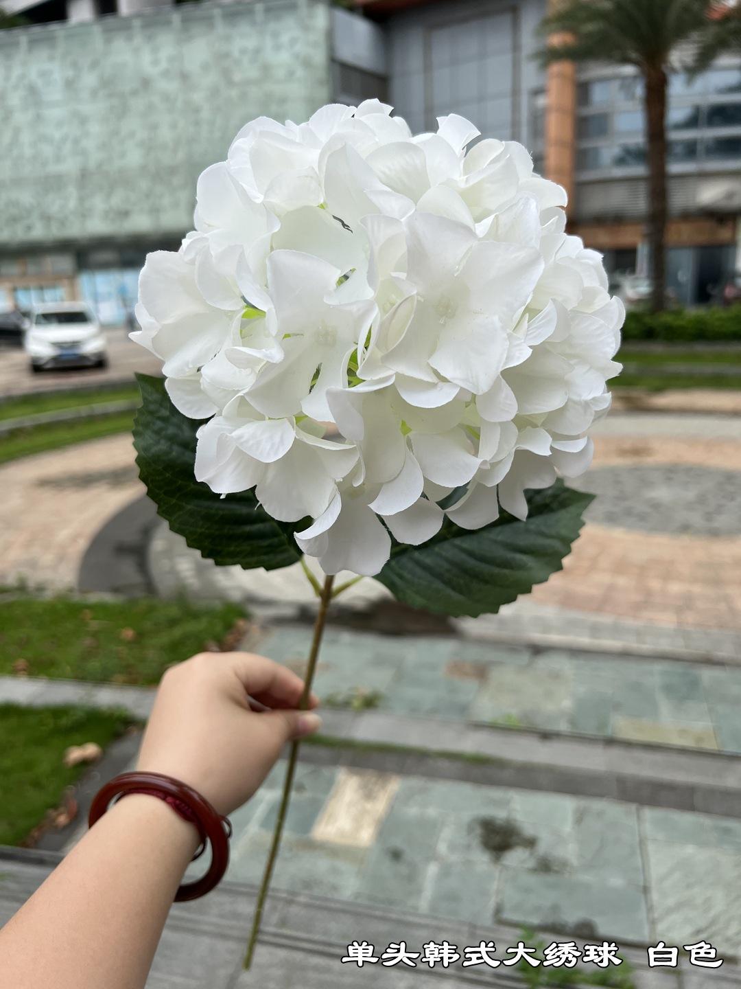 微信图片_20220519112911