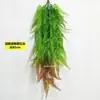 Plantas Verdes Penduradas na Parede Planta-Aranha Flores Artificiais Plantas Verdes Pendentes Samambaias Tubos de Parede Decoração de Teto Folhas de Samambaia Cipós
